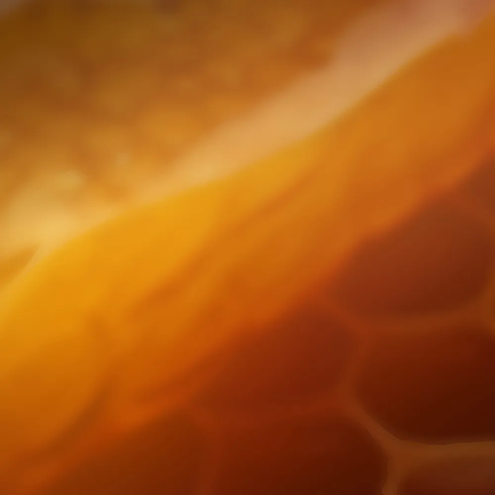 Warm golden honey tones and textures resembling a honeycomb.